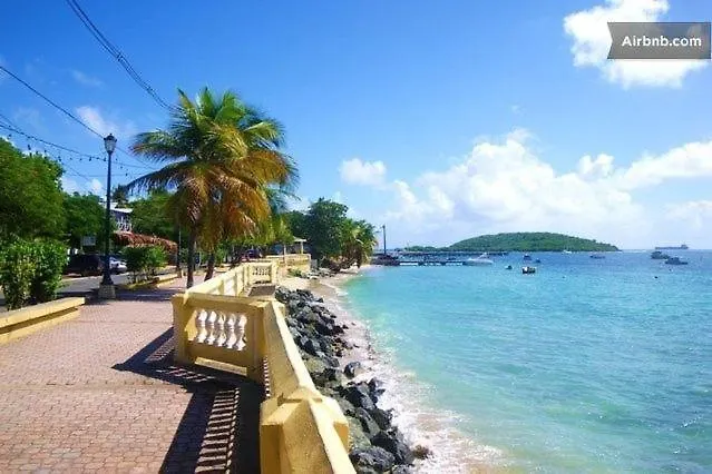 Fundraising -Help Us Build Recreation -Drive In Cinema -Stay In-Vieques For Less For 40 N Spend More Having Fun Bnbcampsite -Comfort Camping Queen Beds Tent Rental -Private Bath -5 Minutes Walk To Bioluminescent Bay N Restaurants -Cash Preferred Luxury tent Vieques