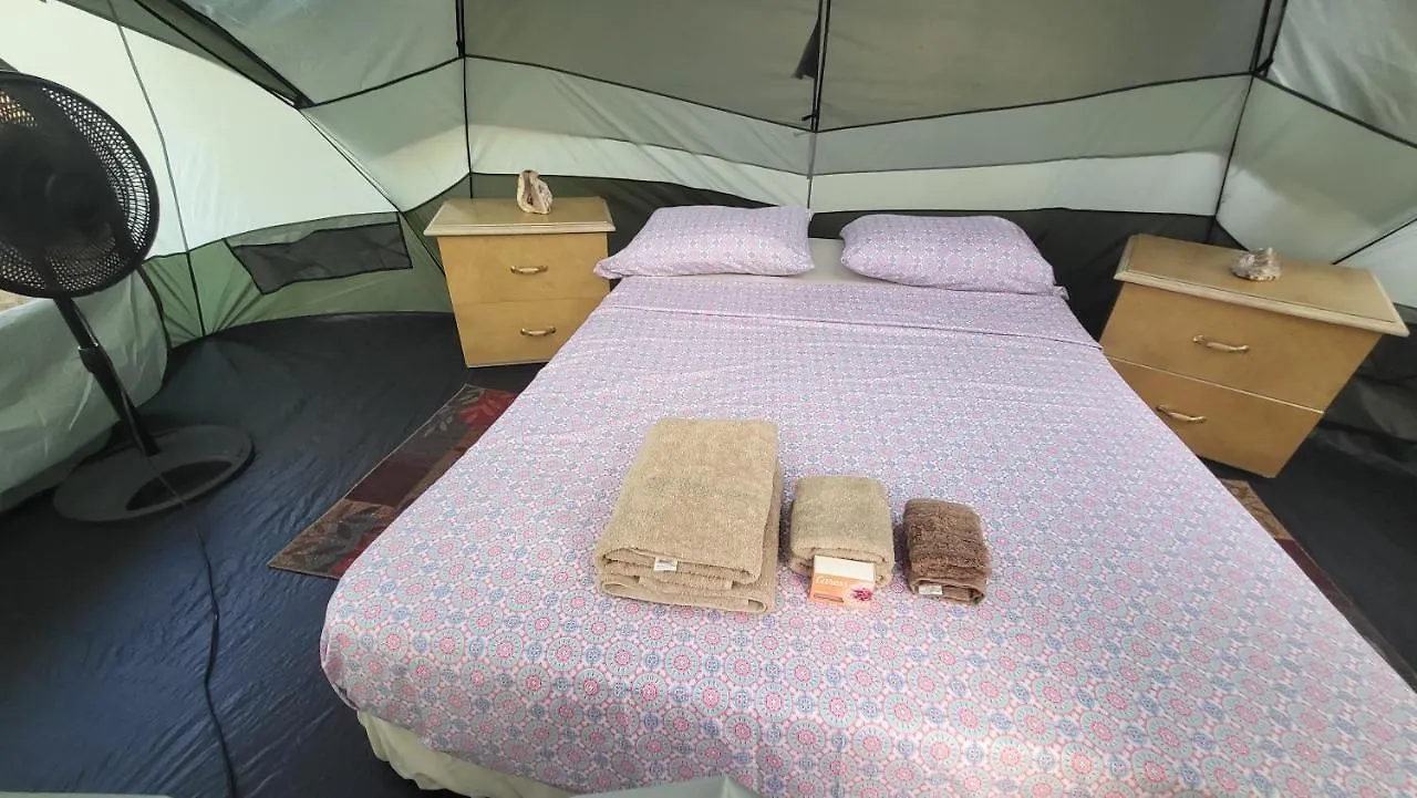Luxury tent Fundraising -Help Us Build Recreation -Drive In Cinema -Stay In-Vieques For Less For 40 N Spend More Having Fun Bnbcampsite -Comfort Camping Queen Beds Tent Rental -Private Bath -5 Minutes Walk To Bioluminescent Bay N Restaurants -Cash Preferred